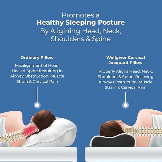 HEALTHNYST Memory Foam Pillow