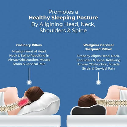 HEALTHNYST Memory Foam Pillow